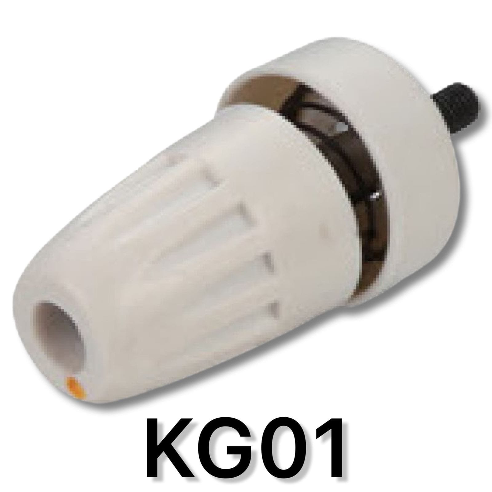 KG01