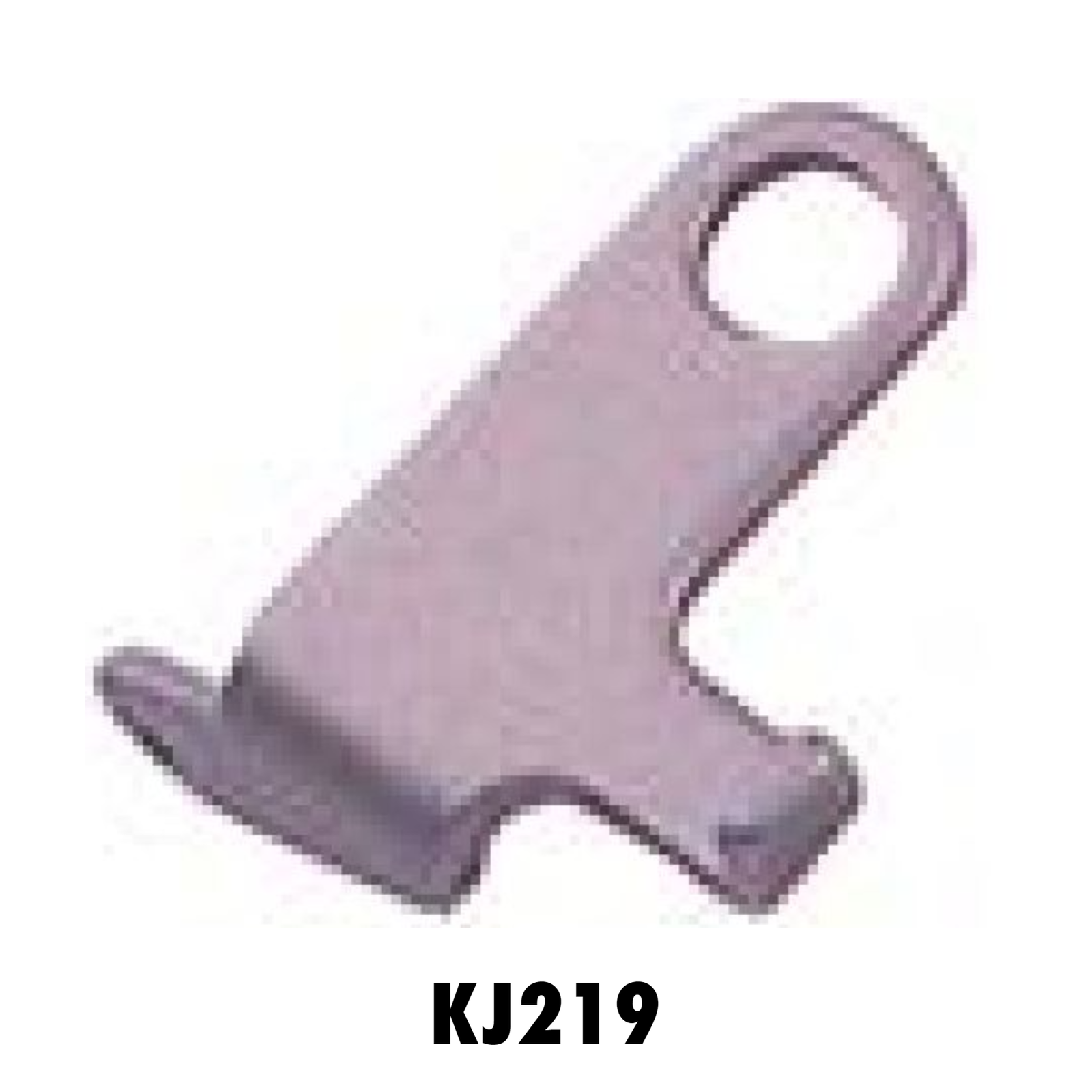 KJ219