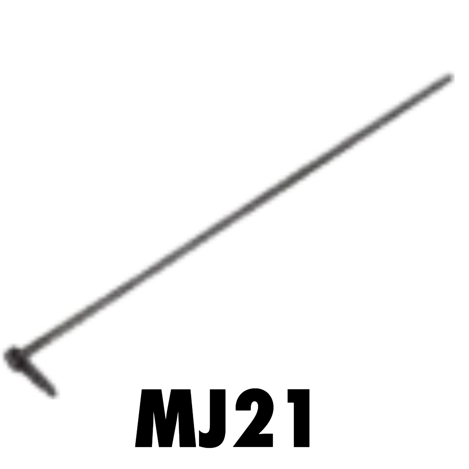 MJ21
