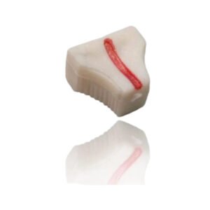 Perilla Zigzag Facilita - 15AZZ